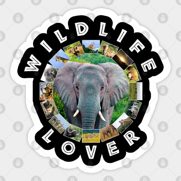 Wildlife Lover Elephant Bukk Sticker by PathblazerStudios